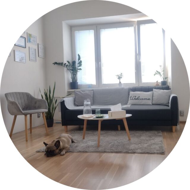 https://www.psychebalance.sk/wp-content/uploads/2024/09/Centrum-Psyche-Balance-main-page-circle-640x640.jpg