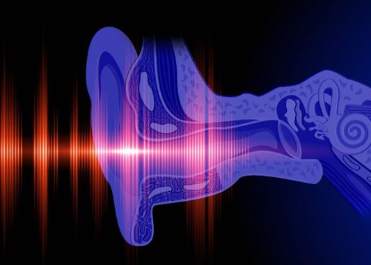 https://www.psychebalance.sk/wp-content/uploads/2026/07/Auditory-Processing-soundsory-533x380.jpeg